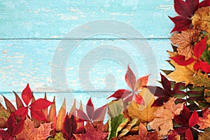 Autumn Leaves on Rustic Blue Wood Background