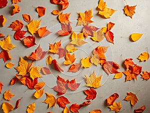 Autumn leaves scattered on a light surface create a vivid pattern.