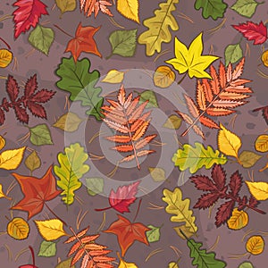 autumn leaves seamless pattern backgroun