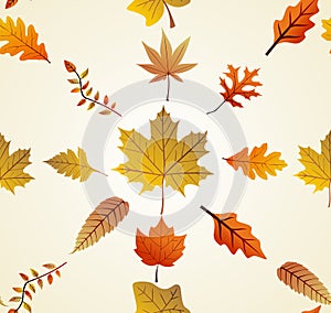 Autumn leaves seamless pattern background. EPS10 f