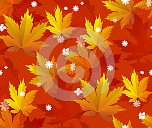 Autumn leaves, seamless pattern, vector background.