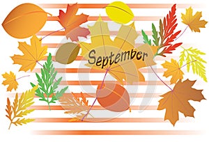 Autumn leaves - September - vector