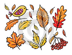 Autumn leaves set 2. Season elements collection vector illustration. Isolated on white background.