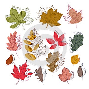 Autumn leaves set Abstract art drawing isolated vector illustration.Stylized different colorful leaves