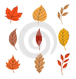 Autumn leaves set isolated on white background