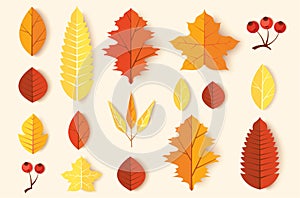 Autumn leaves set vector illustration