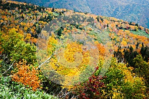 Autumn Leaves at Shiretoko Pass, Hokkaido, Japan