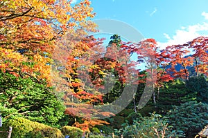 Autumn leaves in Shoyo-en Japanese garden Nikko, Japan