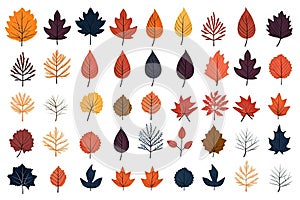 Autumn Leaves Silhouettes, Foliage Silhouette Isolated, Fall Tree Leaf Shapes With Maple, Oak, Birch and Other