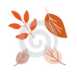 Autumn leaves simple vector minimalist concept flat style illustration, multicolored hand drawn natural floral elements