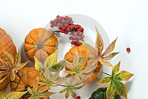 Autumn leaves, small decorative pumpkins with red berries on white table.