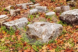 Autumn Leaves and Smooth Stones photo