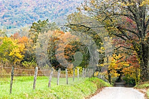 Autumn leaves on Sparks Lane in the Smoky Mountains