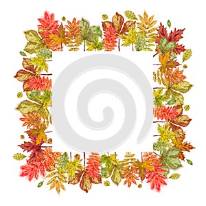 Autumn Leaves Square Template Isolated on White Background.