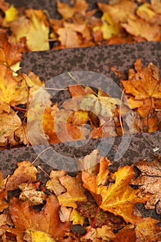 Autumn leaves on the stairs