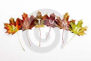 Autumn leaves still-life with text