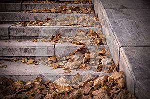 Autumn leaves on stone stairs of city park. vignette, background, seasonal.