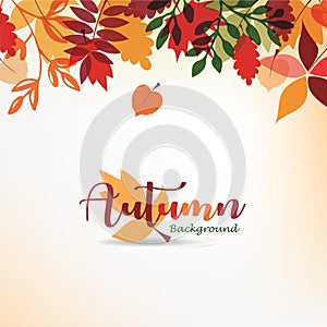 Autumn leaves stylized background