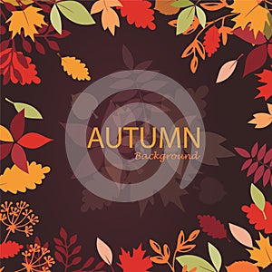 Autumn leaves stylized background