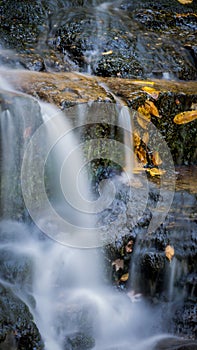 Autumn leaves surround soft cascading waterfalls