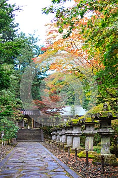 Autumn leaves at Taiyuin temple, Nikko Japan