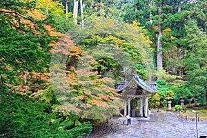 Autumn leaves at Taiyuin temple, Nikko Japan