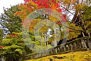 Autumn leaves with temple Rinnoji Temple in Nikko