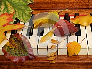 Autumn Leaves Tickle the Ivories