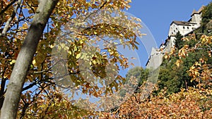 Autumn Leaves With Vaduz Castle