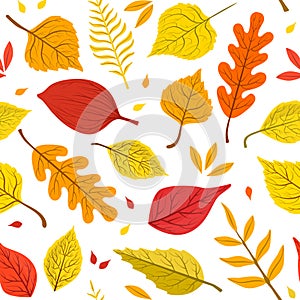 Autumn Leaves of Various Forest Trees Natural Seamless Pattern, Element Can Be Used for Fabric Print, Wallpaper