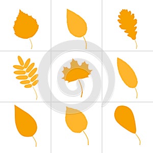 Autumn leaves of various trees. Set of icons.