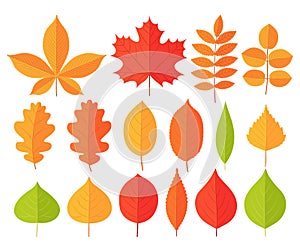 Autumn leaves. Vector. Set of symbols of fall leaf