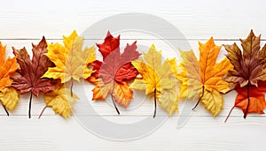 Autumn leaves, vibrant colors, nature beauty in a frame generated by AI