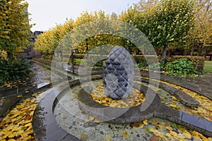 Autumn Leaves in Water Feature