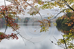 Autumn Leaves on Waterbury Lake