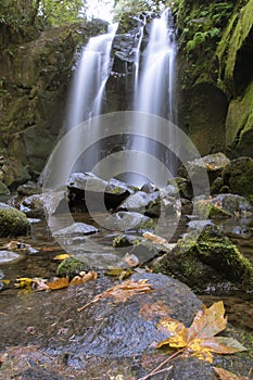 Autumn Leaves and Waterfall