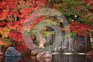 Autumn leaves and waterfall of Japanese garden at night.