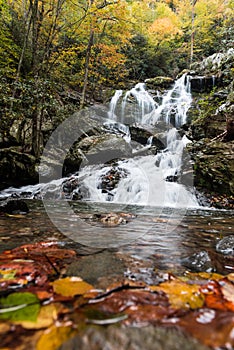 Autumn leaves in the waters of Saluda falls in North Carolina