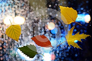 Autumn leaves on a wet window on a background of rainy weather
