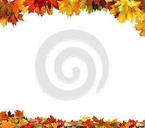 Autumn leaves on white background