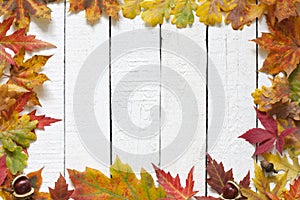 Autumn leaves on white boards background