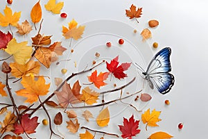 Autumn leaves on the white wooden background