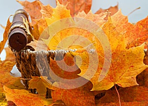 Autumn Leaves in a Wicker Basker