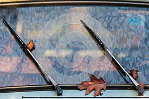 Autumn leaves between the wipers of a classic car