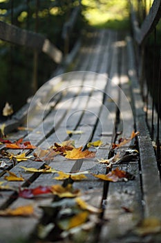 Autumn leaves on wood bridge