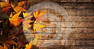 Autumn leaves on wooden background with copy space