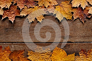 Autumn leaves on wooden background with copy space. Wallpaper for September 1.