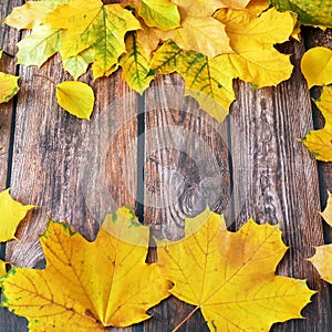 Autumn leaves on wooden background frame, with copy space, Autumn Leaves over a Natural Dark Wooden background. Old dirty wood