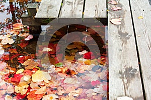 Autumn leaves, wooden pier and water surface