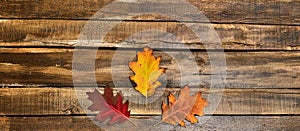 Autumn leaves on wooden table